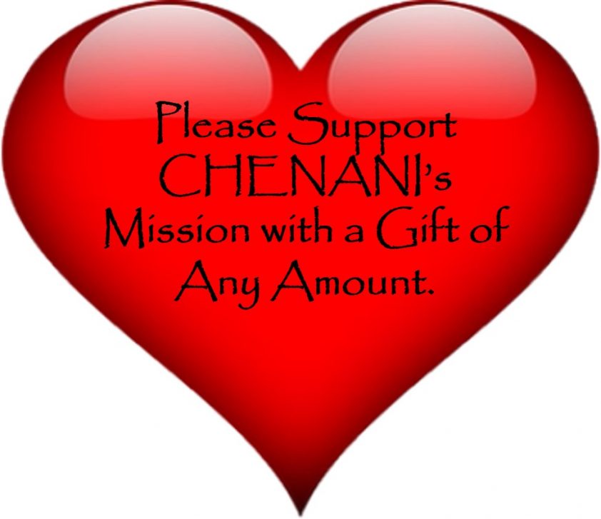 Support Chenani's Mission